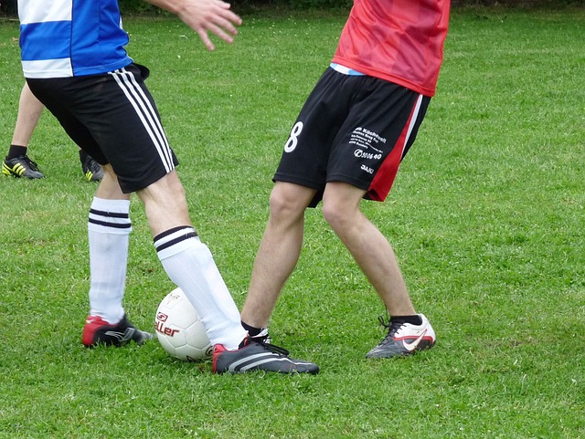 皇家社会这 皇家社会这