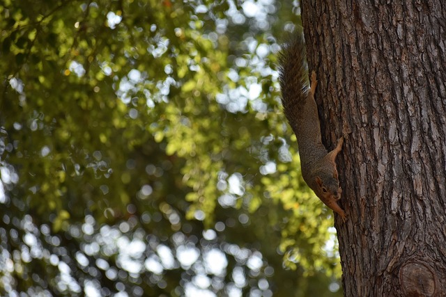 军全力拼搏 军全力拼搏