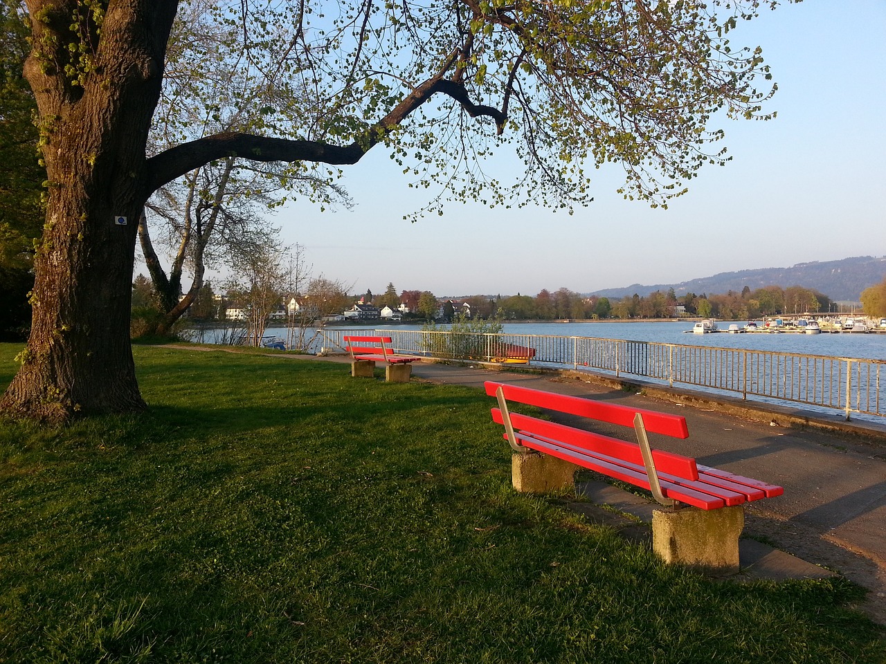 利用明星球 利用明星球